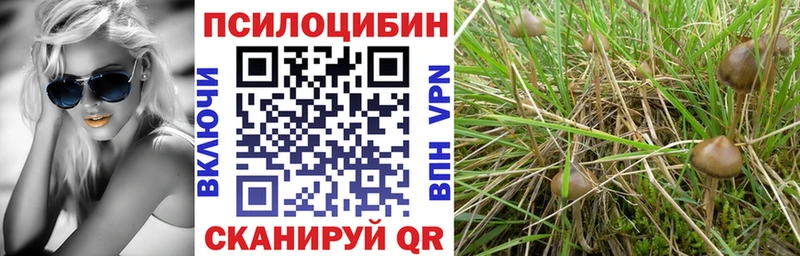 Псилоцибиновые грибы MAGIC MUSHROOMS  наркошоп  Петрозаводск 