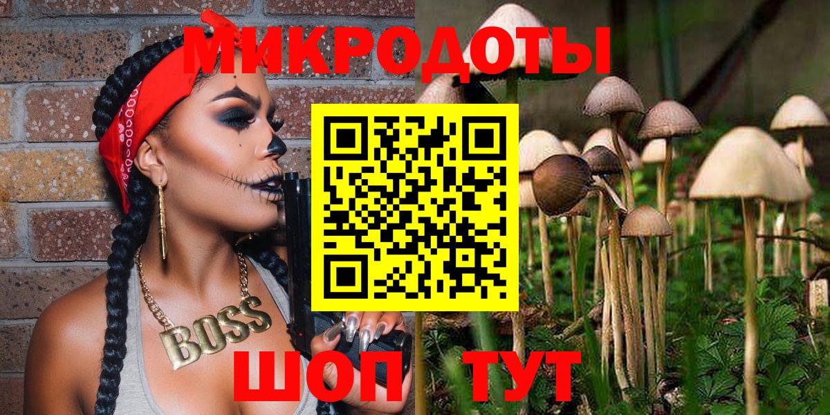 Петрозаводск  Псилоцибиновые грибы мицелий  купить   Вход с VPN  Псилоцибиновые грибы GOLDEN TEACHER 