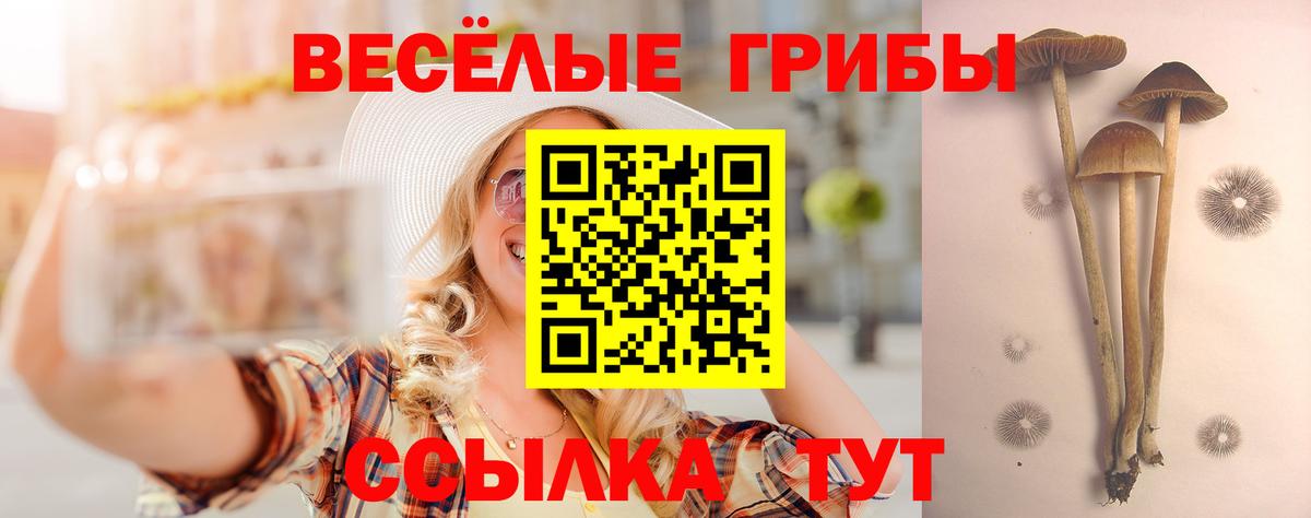 Галлюциногенные грибы MAGIC MUSHROOMS Петрозаводск