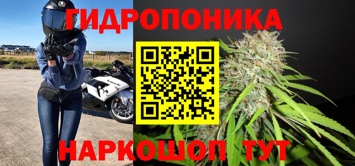 Канабис марихуана  Канабис конопля  Бошки марихуана ГИДРОПОН  Вход с VPN  Петрозаводск 